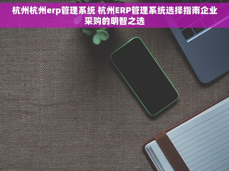 杭州杭州erp管理系统 杭州ERP管理系统选择指南企业采购的明智之选