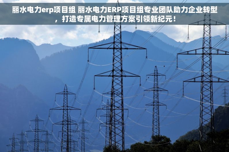 丽水电力erp项目组 丽水电力ERP项目组专业团队助力企业转型，打造专属电力管理方案引领新纪元！