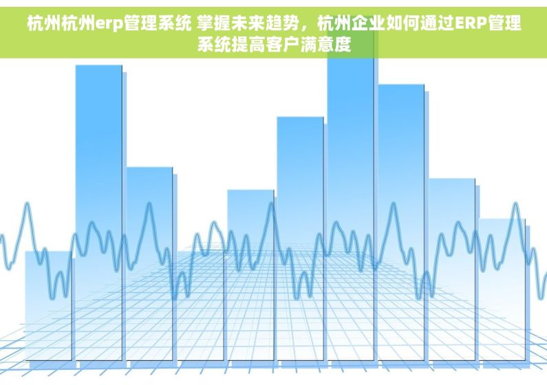 杭州杭州erp管理系统 掌握未来趋势，杭州企业如何通过ERP管理系统提高客户满意度