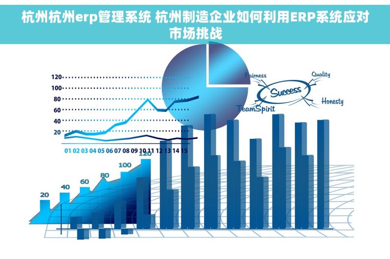 杭州杭州erp管理系统 杭州制造企业如何利用ERP系统应对市场挑战