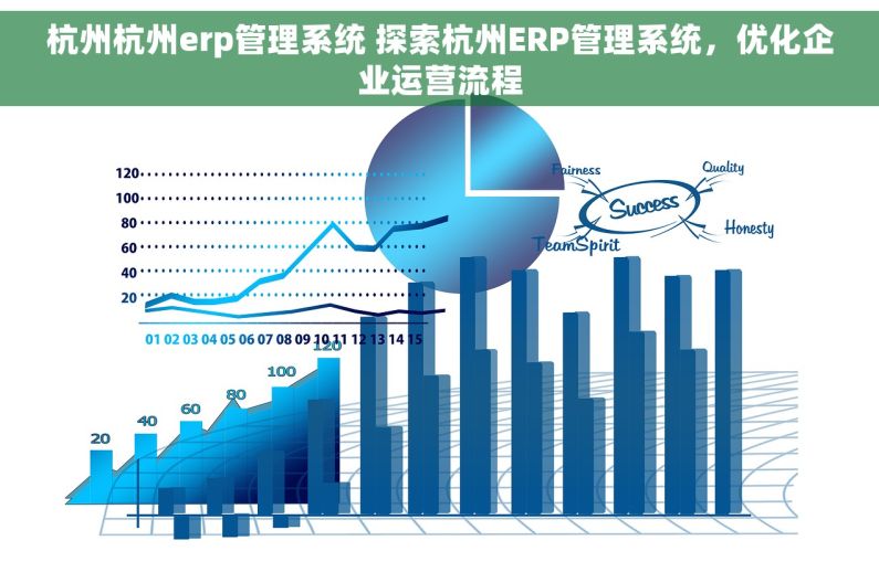 杭州杭州erp管理系统 探索杭州ERP管理系统，优化企业运营流程