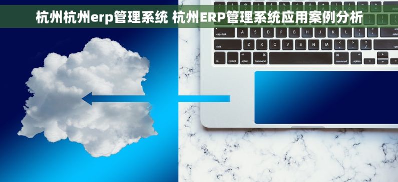 杭州杭州erp管理系统 杭州ERP管理系统应用案例分析