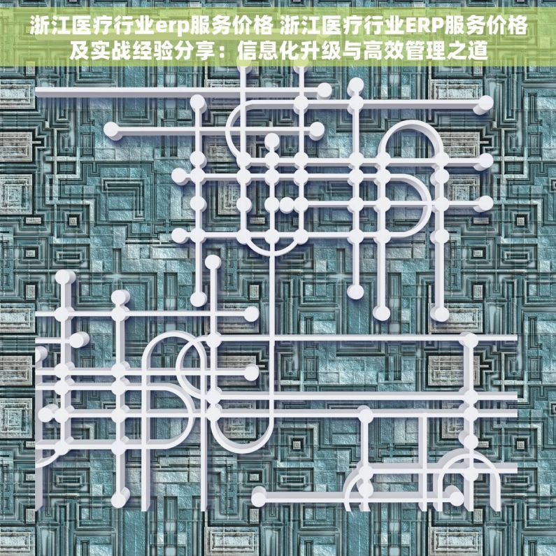浙江医疗行业erp服务价格 浙江医疗行业ERP服务价格及实战经验分享：信息化升级与高效管理之道
