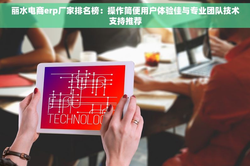 丽水电商erp厂家排名榜：操作简便用户体验佳与专业团队技术支持推荐