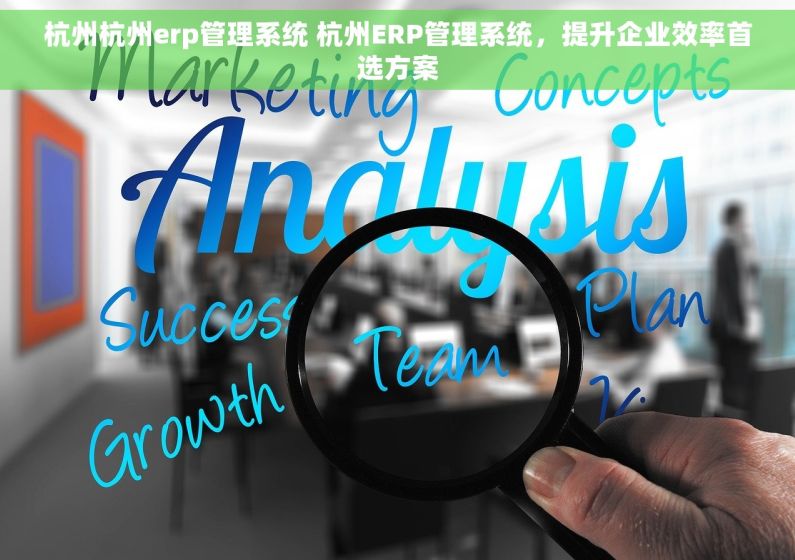 杭州杭州erp管理系统 杭州ERP管理系统，提升企业效率首选方案