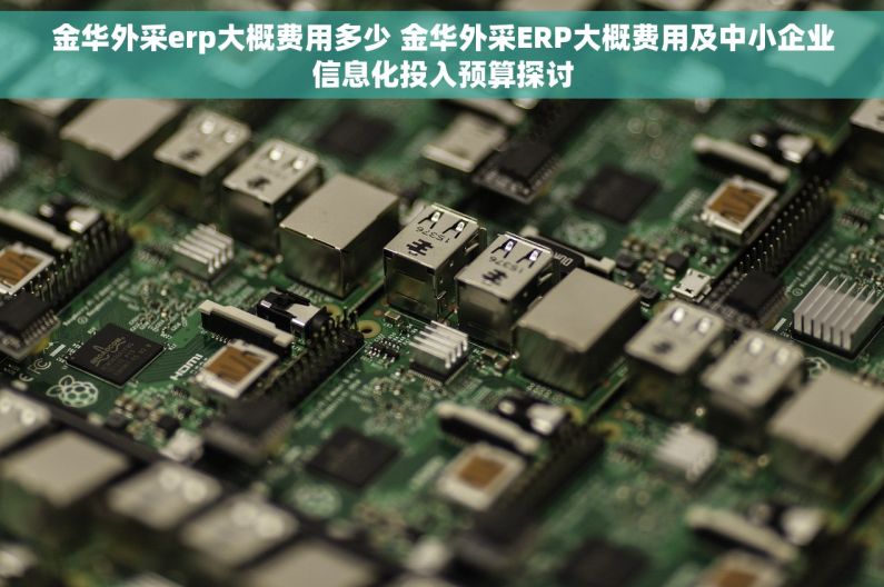 金华外采erp大概费用多少 金华外采ERP大概费用及中小企业信息化投入预算探讨