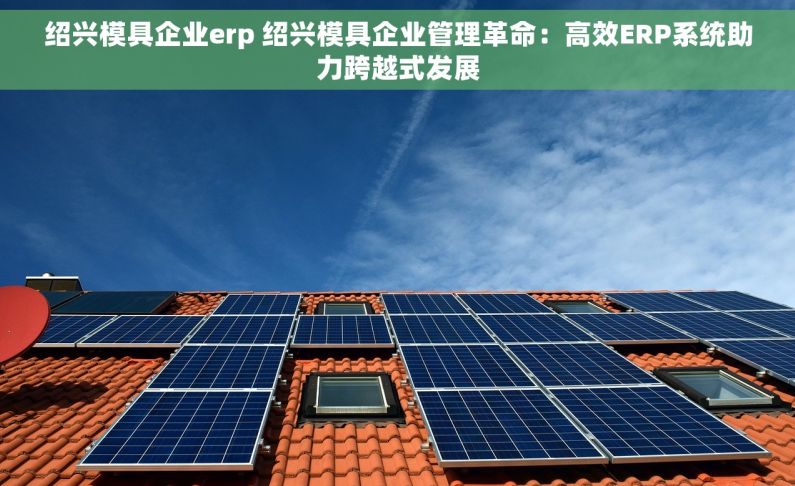 绍兴模具企业erp 绍兴模具企业管理革命：高效ERP系统助力跨越式发展