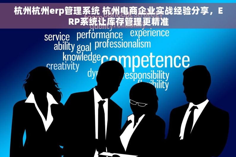 杭州杭州erp管理系统 杭州电商企业实战经验分享，ERP系统让库存管理更精准