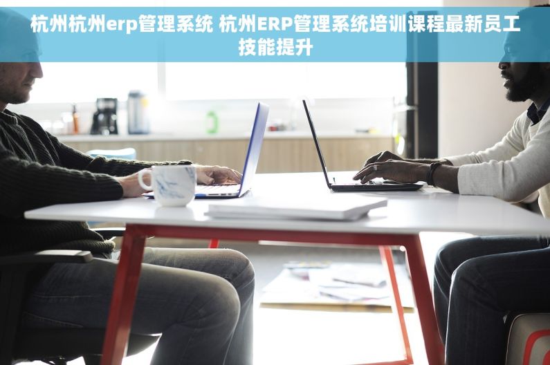 杭州杭州erp管理系统 杭州ERP管理系统培训课程最新员工技能提升