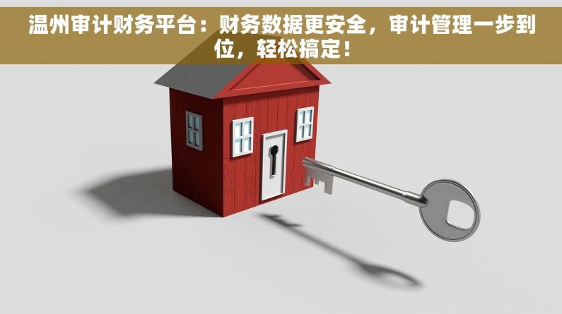 温州审计财务平台：财务数据更安全，审计管理一步到位，轻松搞定！