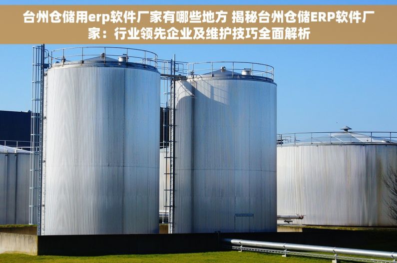 台州仓储用erp软件厂家有哪些地方 揭秘台州仓储ERP软件厂家：行业领先企业及维护技巧全面解析