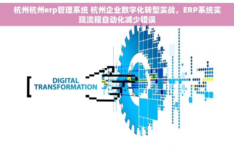 杭州杭州erp管理系统 杭州企业数字化转型实战，ERP系统实现流程自动化减少错误
