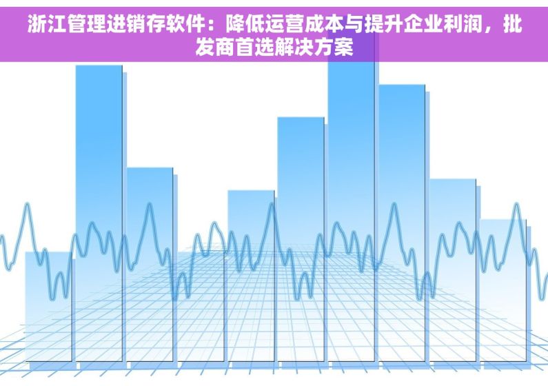 浙江管理进销存软件：降低运营成本与提升企业利润，批发商首选解决方案