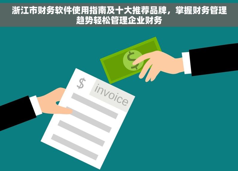 浙江市财务软件使用指南及十大推荐品牌，掌握财务管理趋势轻松管理企业财务