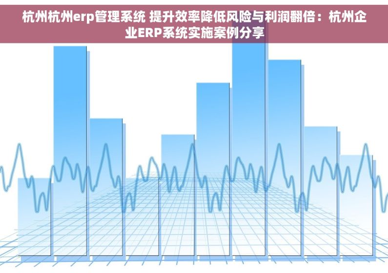 杭州杭州erp管理系统 提升效率降低风险与利润翻倍：杭州企业ERP系统实施案例分享