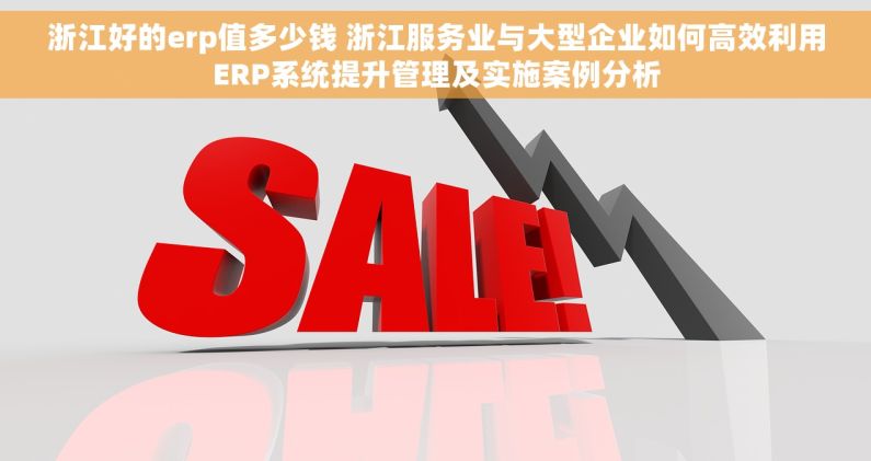 浙江好的erp值多少钱 浙江服务业与大型企业如何高效利用ERP系统提升管理及实施案例分析