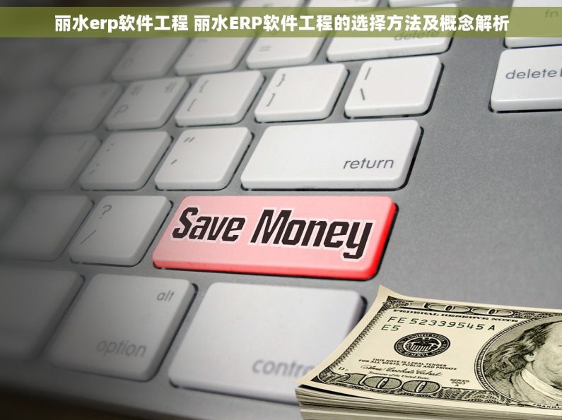 丽水erp软件工程 丽水ERP软件工程的选择方法及概念解析