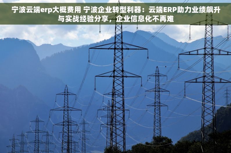 宁波云端erp大概费用 宁波企业转型利器：云端ERP助力业绩飙升与实战经验分享，企业信息化不再难