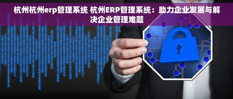 杭州杭州erp管理系统 杭州ERP管理系统：助力企业发展与解决企业管理难题