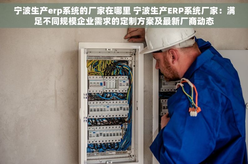 宁波生产erp系统的厂家在哪里 宁波生产ERP系统厂家：满足不同规模企业需求的定制方案及最新厂商动态