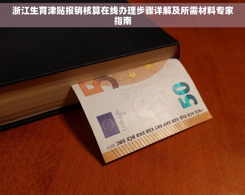 浙江生育津贴报销核算在线办理步骤详解及所需材料专家指南