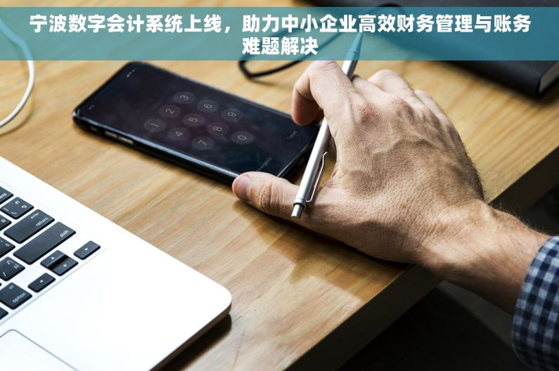 宁波数字会计系统上线，助力中小企业高效财务管理与账务难题解决