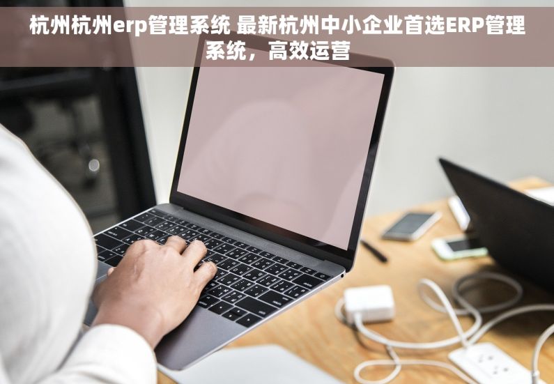 杭州杭州erp管理系统 最新杭州中小企业首选ERP管理系统，高效运营