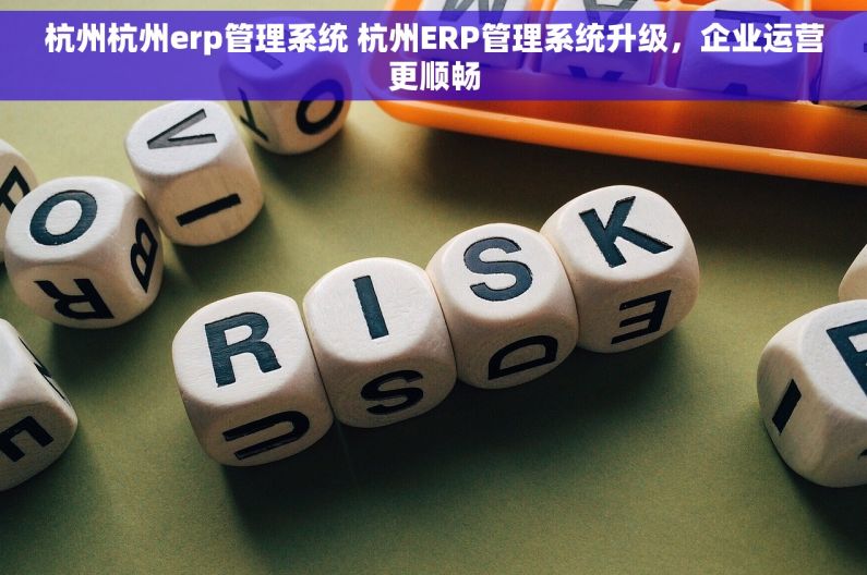 杭州杭州erp管理系统 杭州ERP管理系统升级，企业运营更顺畅