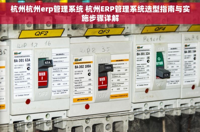 杭州杭州erp管理系统 杭州ERP管理系统选型指南与实施步骤详解