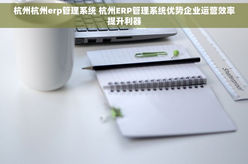 杭州杭州erp管理系统 杭州ERP管理系统优势企业运营效率提升利器
