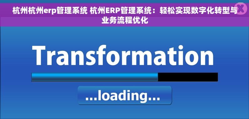 杭州杭州erp管理系统 杭州ERP管理系统：轻松实现数字化转型与业务流程优化