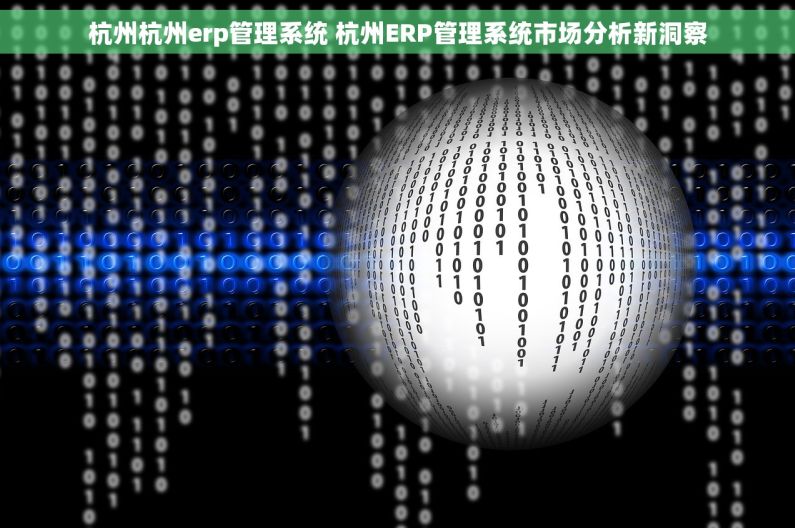 杭州杭州erp管理系统 杭州ERP管理系统市场分析新洞察