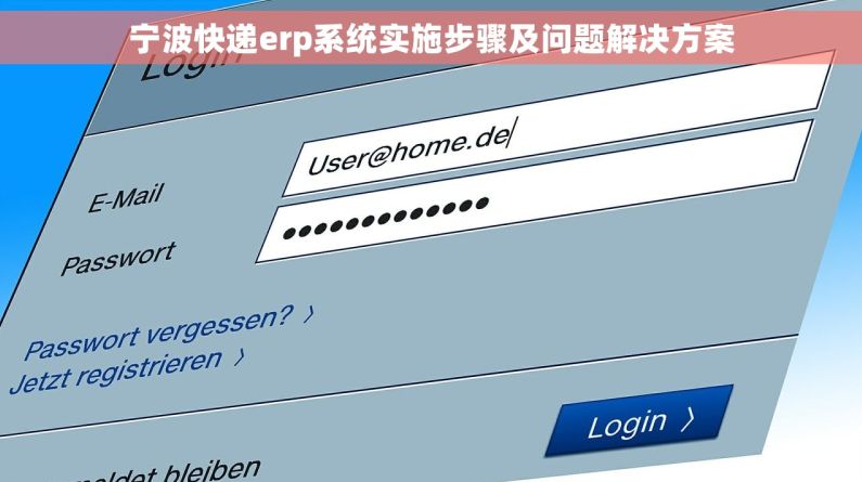 宁波快递erp系统实施步骤及问题解决方案