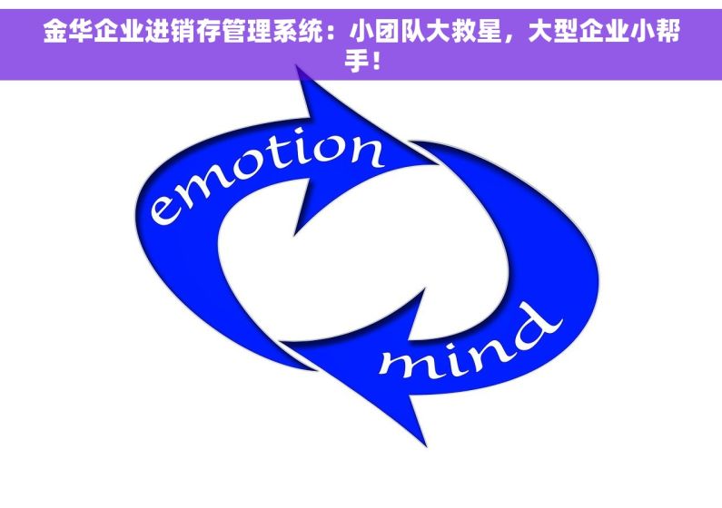 金华企业进销存管理系统：小团队大救星，大型企业小帮手！