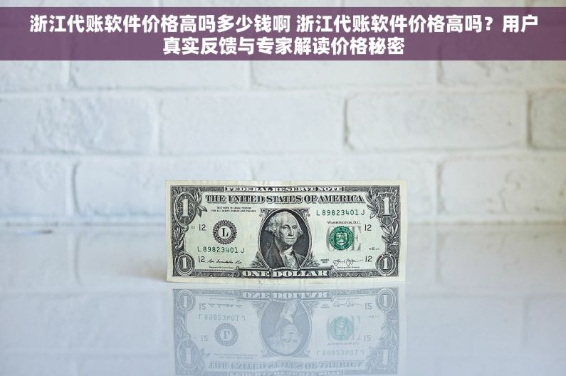 浙江代账软件价格高吗多少钱啊 浙江代账软件价格高吗？用户真实反馈与专家解读价格秘密