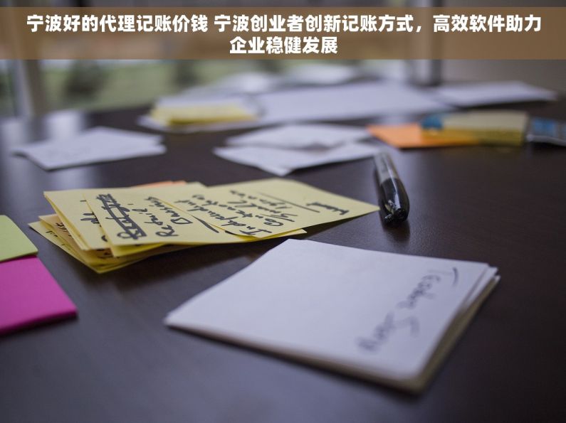 宁波好的代理记账价钱 宁波创业者创新记账方式，高效软件助力企业稳健发展