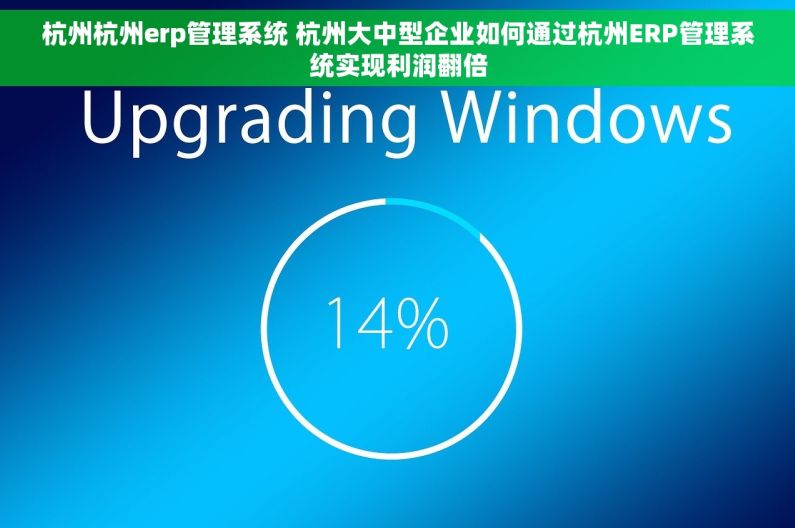 杭州杭州erp管理系统 杭州大中型企业如何通过杭州ERP管理系统实现利润翻倍