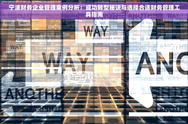 宁波财务企业管理案例分析：成功转型秘诀与选择合适财务管理工具指南
