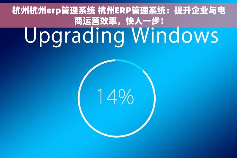 杭州杭州erp管理系统 杭州ERP管理系统：提升企业与电商运营效率，快人一步！