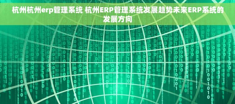 杭州杭州erp管理系统 杭州ERP管理系统发展趋势未来ERP系统的发展方向