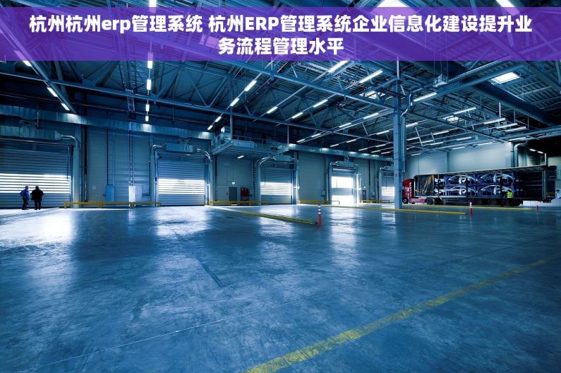 杭州杭州erp管理系统 杭州ERP管理系统企业信息化建设提升业务流程管理水平
