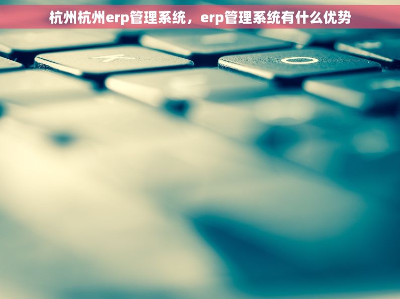 杭州杭州erp管理系统，erp管理系统有什么优势