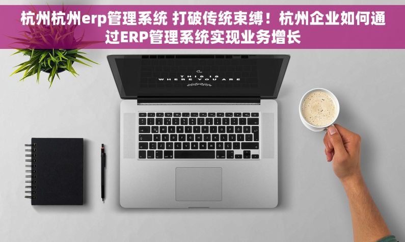 杭州杭州erp管理系统 打破传统束缚！杭州企业如何通过ERP管理系统实现业务增长