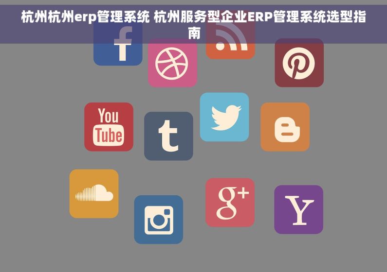 杭州杭州erp管理系统 杭州服务型企业ERP管理系统选型指南