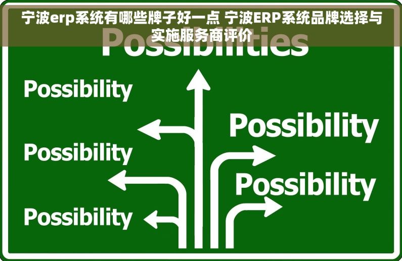 宁波erp系统有哪些牌子好一点 宁波ERP系统品牌选择与实施服务商评价