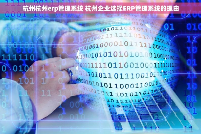 杭州杭州erp管理系统 杭州企业选择ERP管理系统的理由
