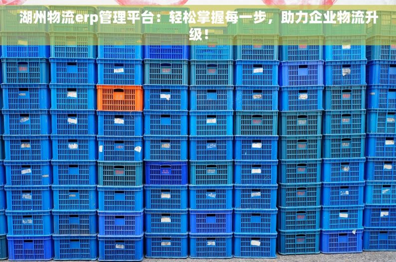 湖州物流erp管理平台：轻松掌握每一步，助力企业物流升级！