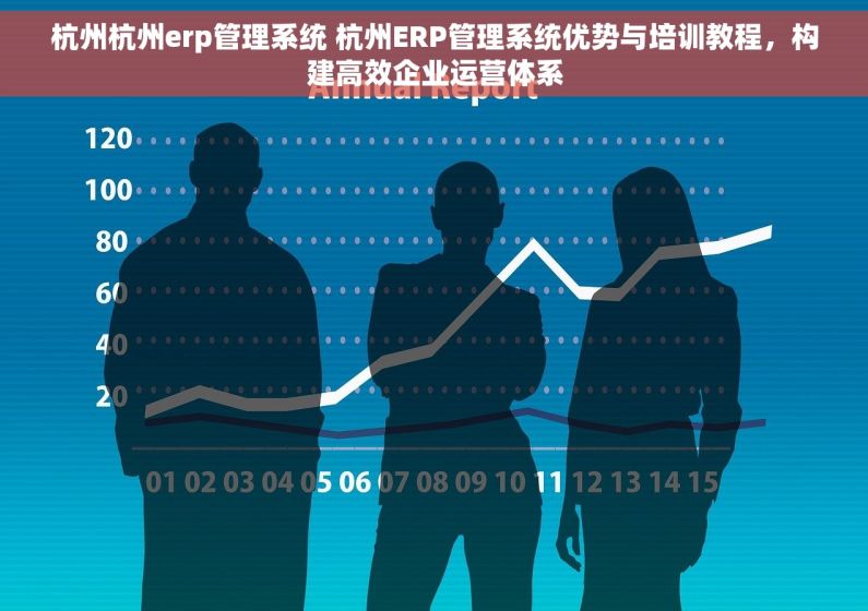 杭州杭州erp管理系统 杭州ERP管理系统优势与培训教程，构建高效企业运营体系