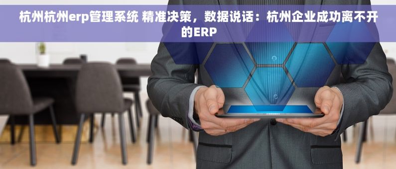杭州杭州erp管理系统 精准决策，数据说话：杭州企业成功离不开的ERP