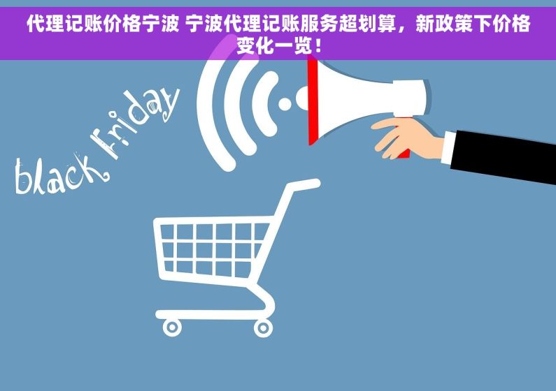 代理记账价格宁波 宁波代理记账服务超划算，新政策下价格变化一览！